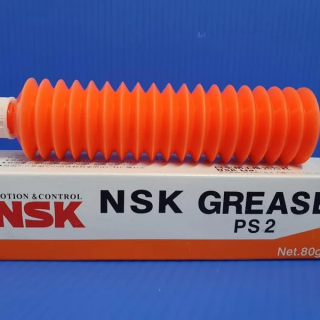 NSK-PS2